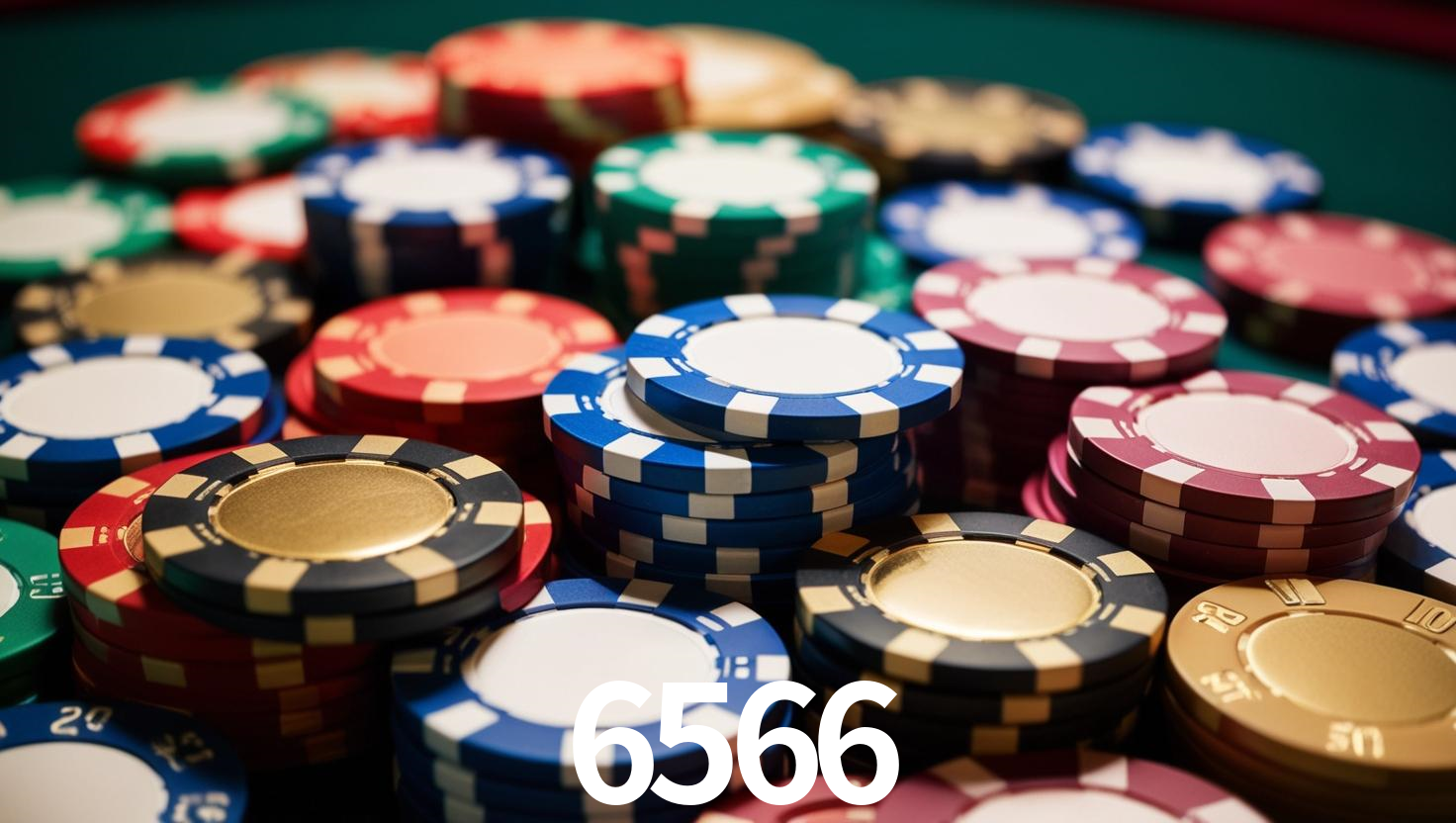 6566