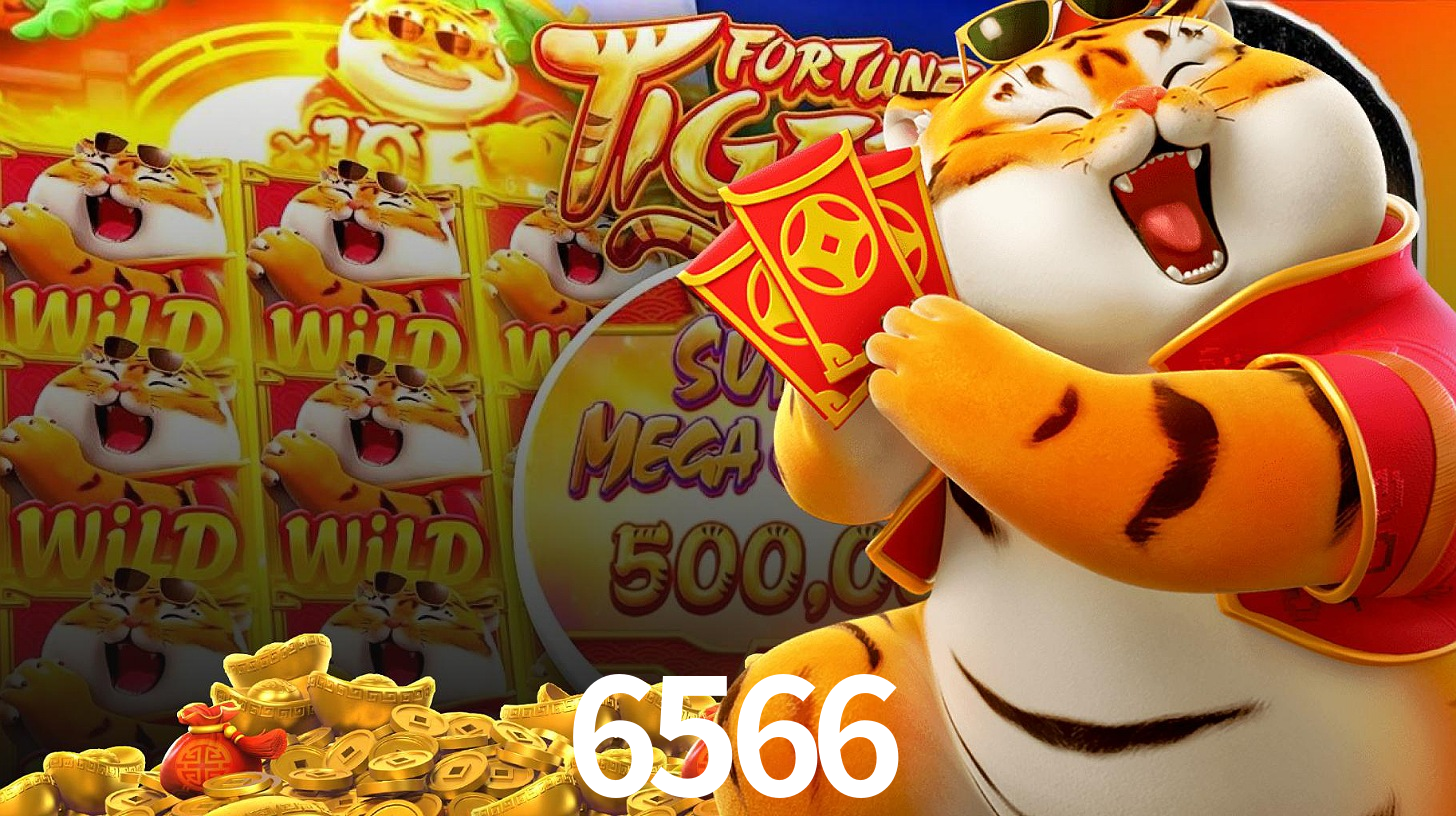 6566