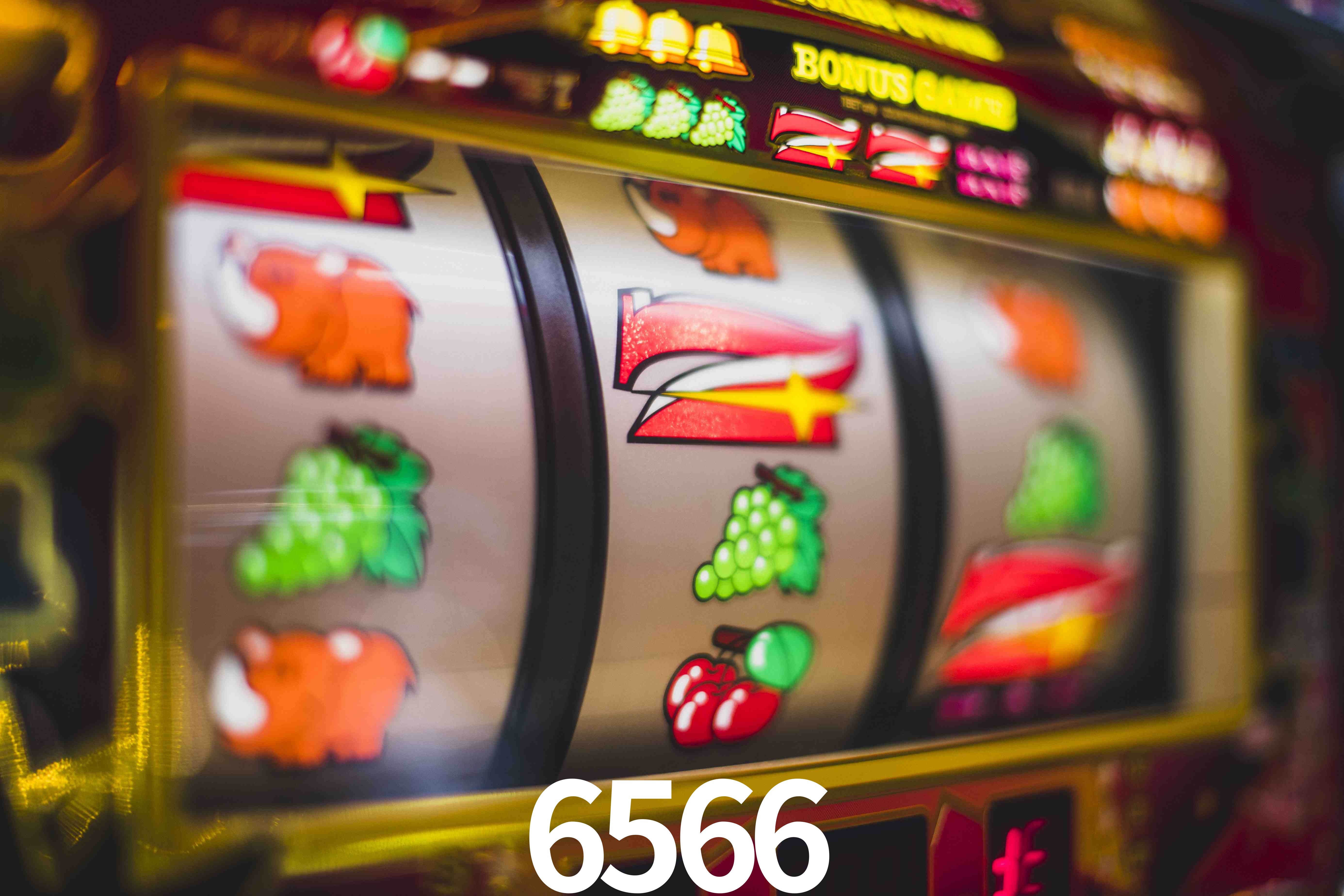 Football Betting 6566